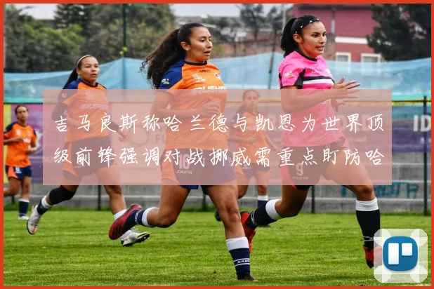 吉马良斯称哈兰德与凯恩为世界顶级前锋强调对战挪威需重点盯防哈兰德