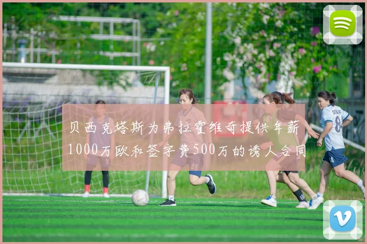 贝西克塔斯为弗拉霍维奇提供年薪1000万欧和签字费500万的诱人合同