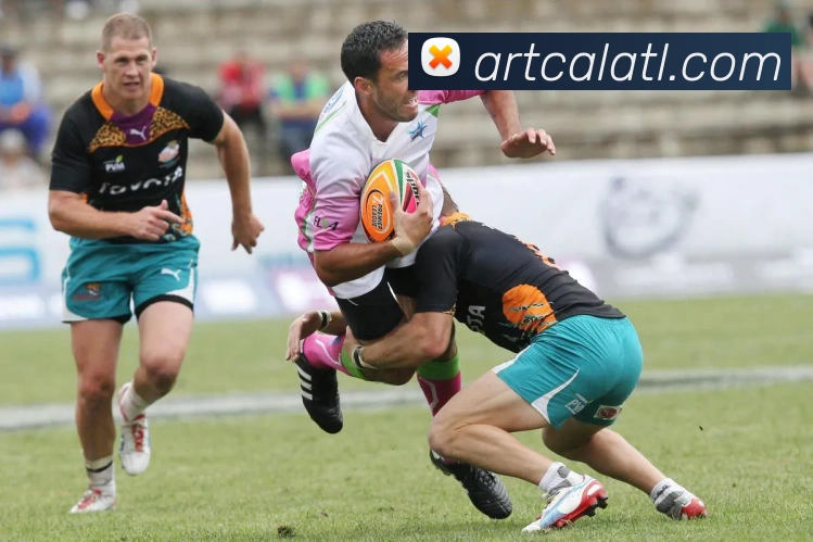 体育App 体育App